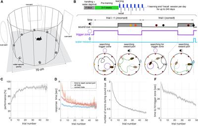 High-Throughput Task to Study Memory Recall During Spatial Navigation in Rodents